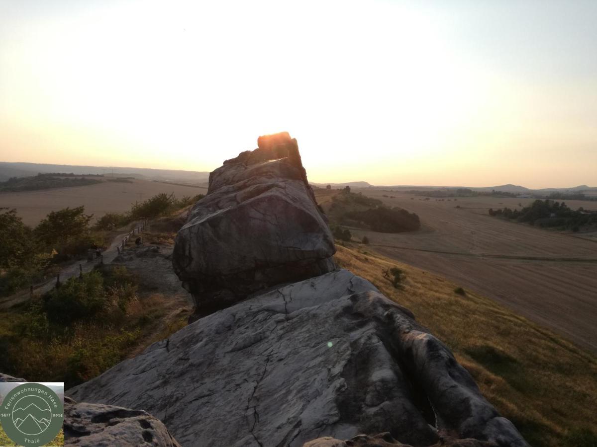 Ferienwohnung Kahlenberg Thale Buitenkant foto